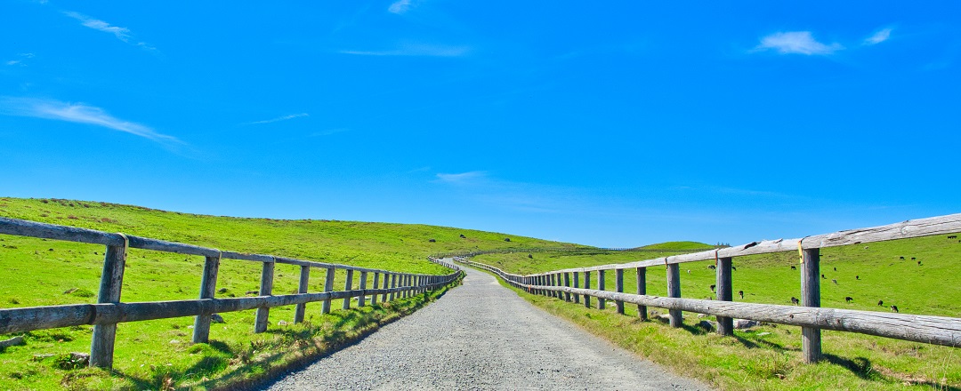 どこまでも続く草原(美ヶ原高原)