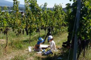 子ども二人がブドウ畑で絵を描く様子の写真
