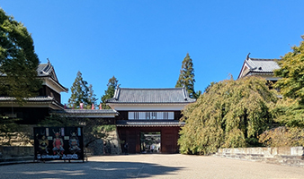 見どころのイメージ