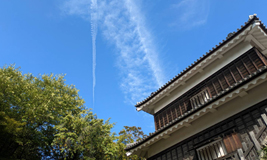 コラムのイメージ