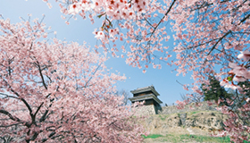 上田城秋の紅葉