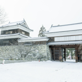 上田城の冬