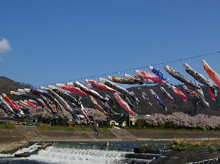 フォト11