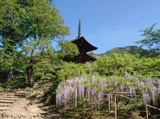 信州上田観光情報 上田市ホームページ