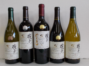 フォト9