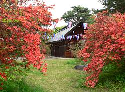 写真：御屋敷公園のつつじ