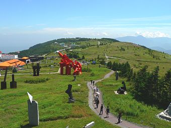 写真：美ケ原高原美術館