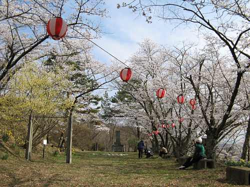 矢沢公園・春の画像