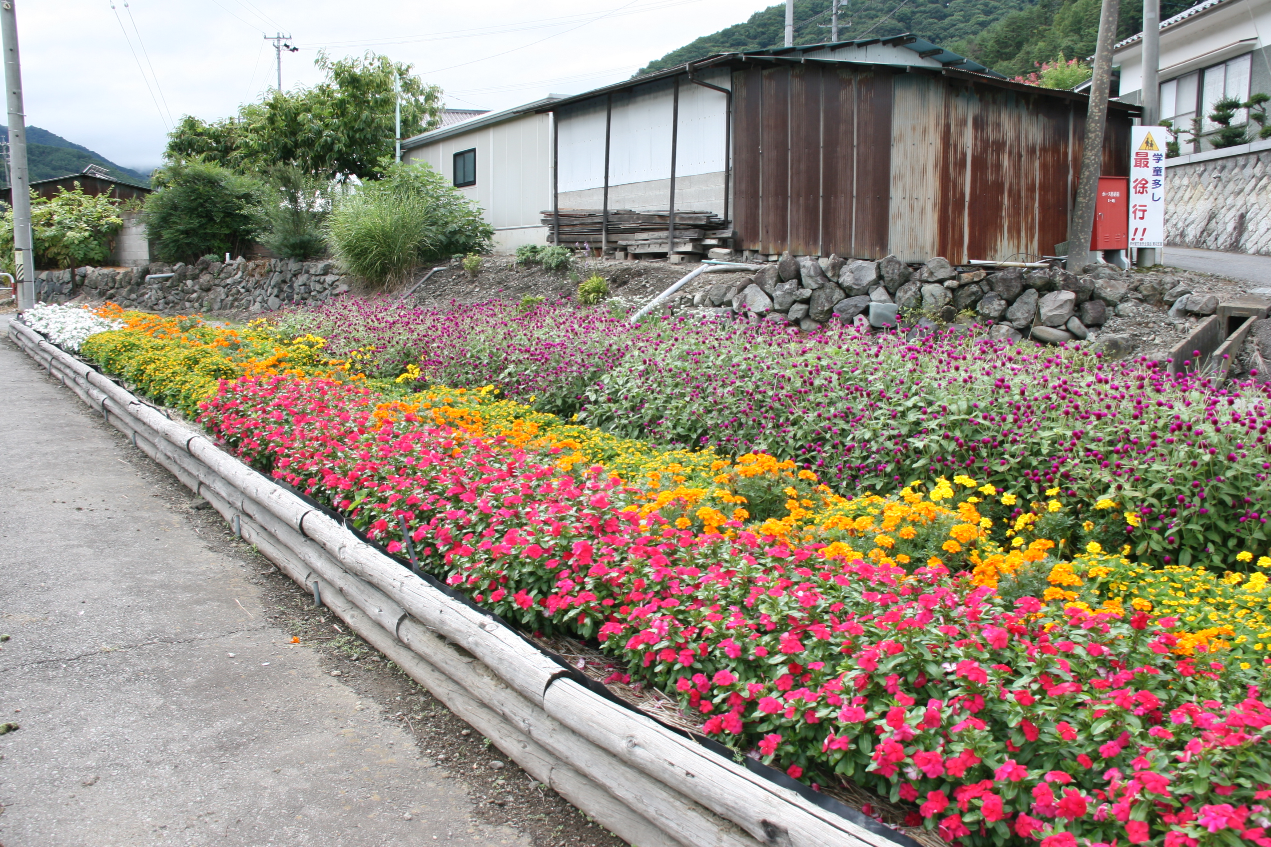 荻窪花の会の画像1