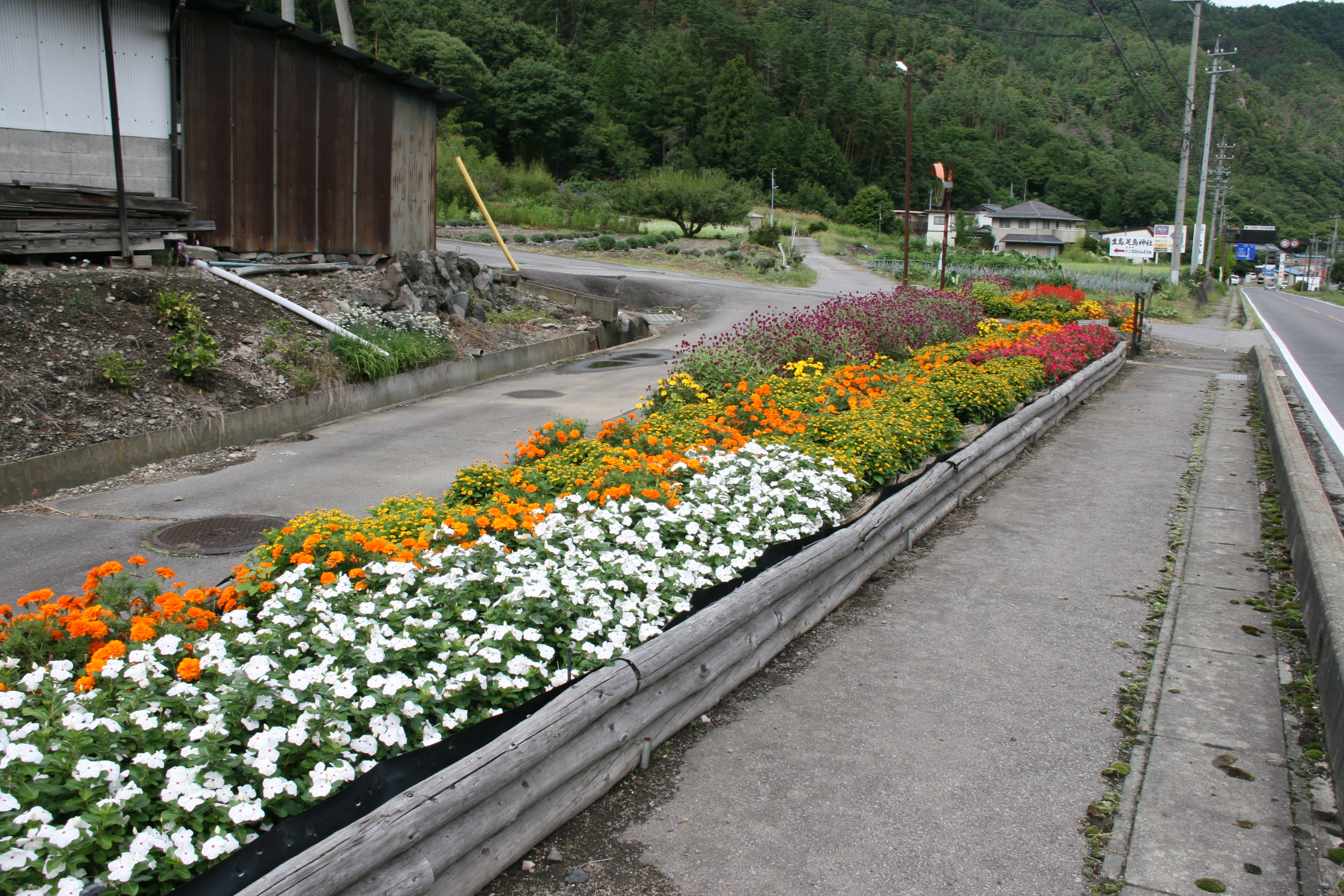 荻窪花の会の画像2