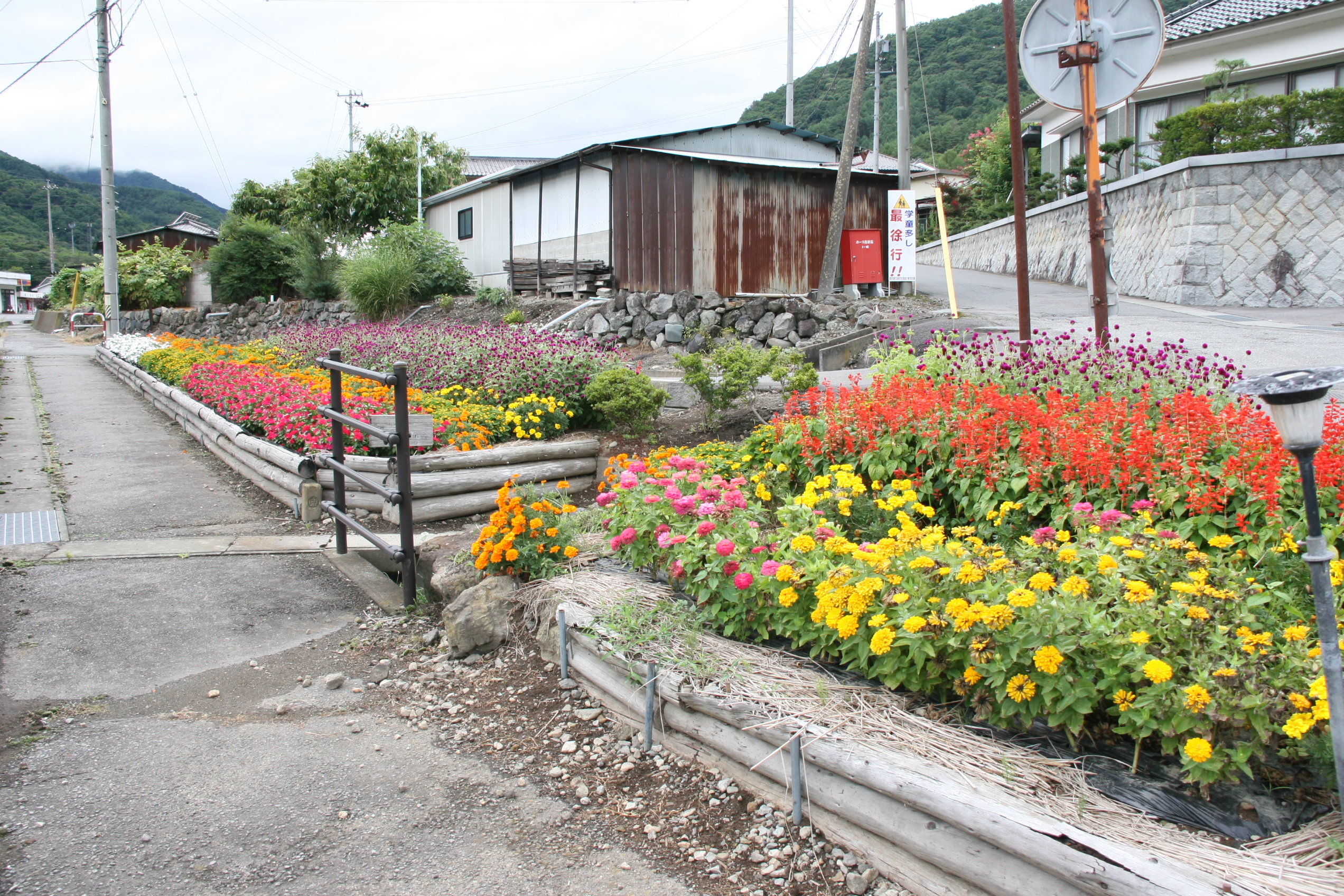 荻窪花の会の画像3