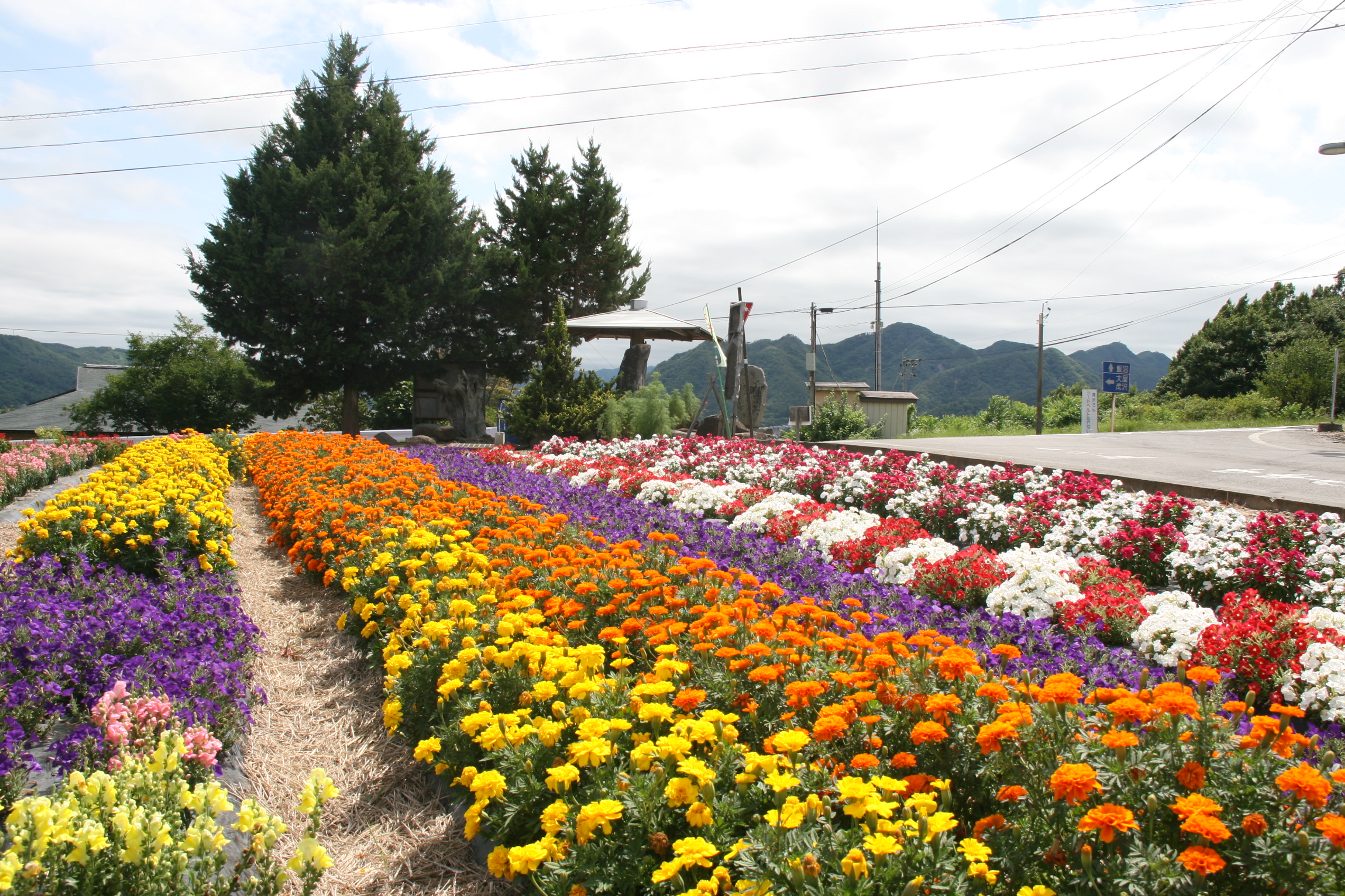 尾野山長寿会の画像1