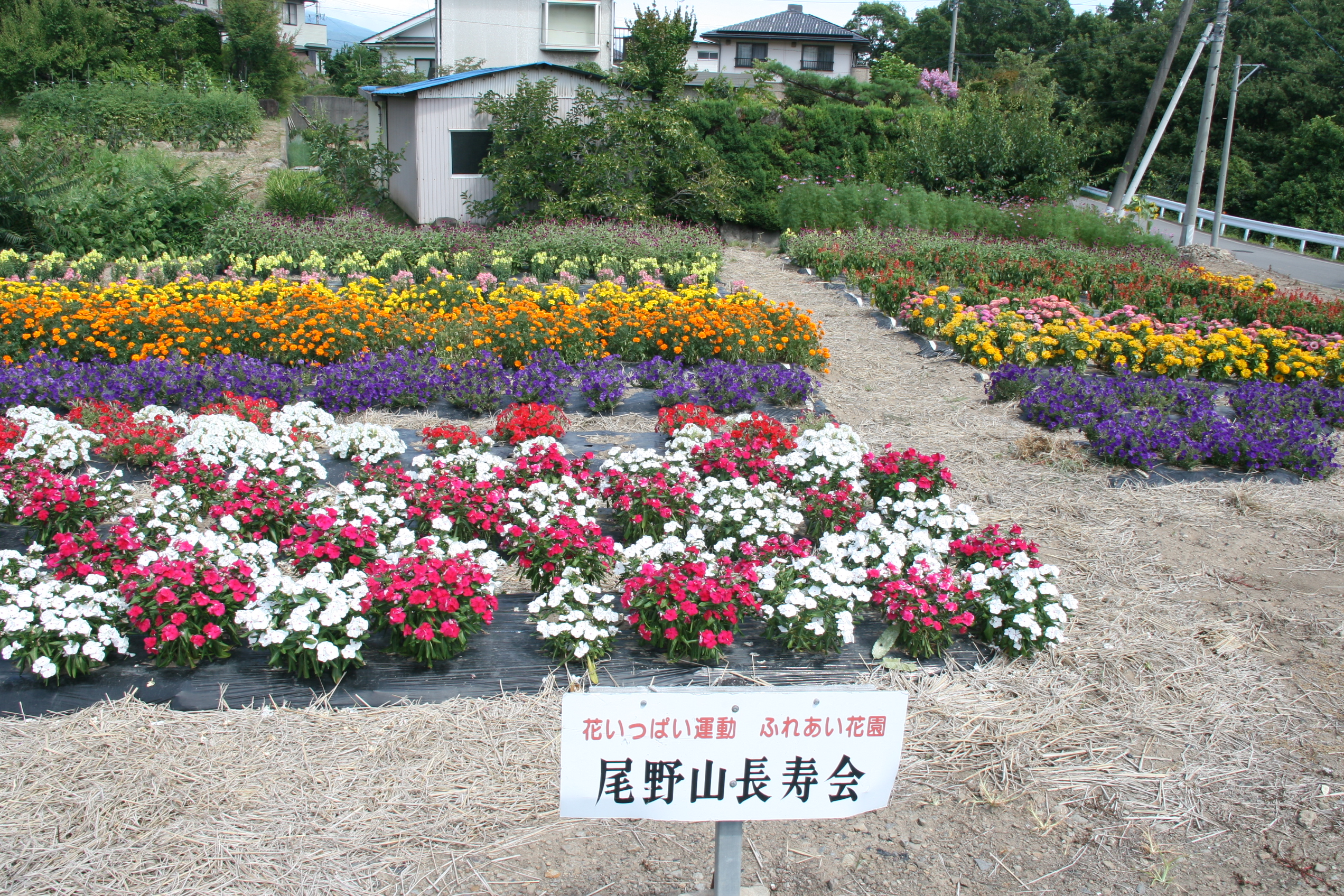 尾野山長寿会の画像2