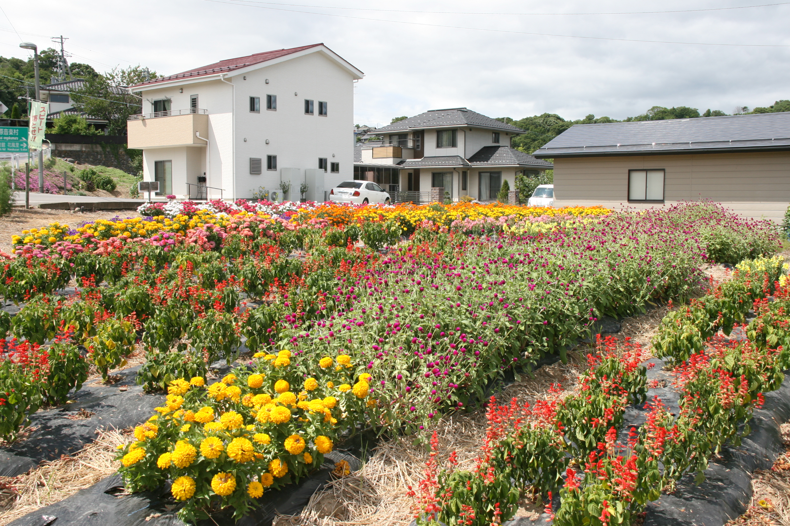 尾野山長寿会の画像3