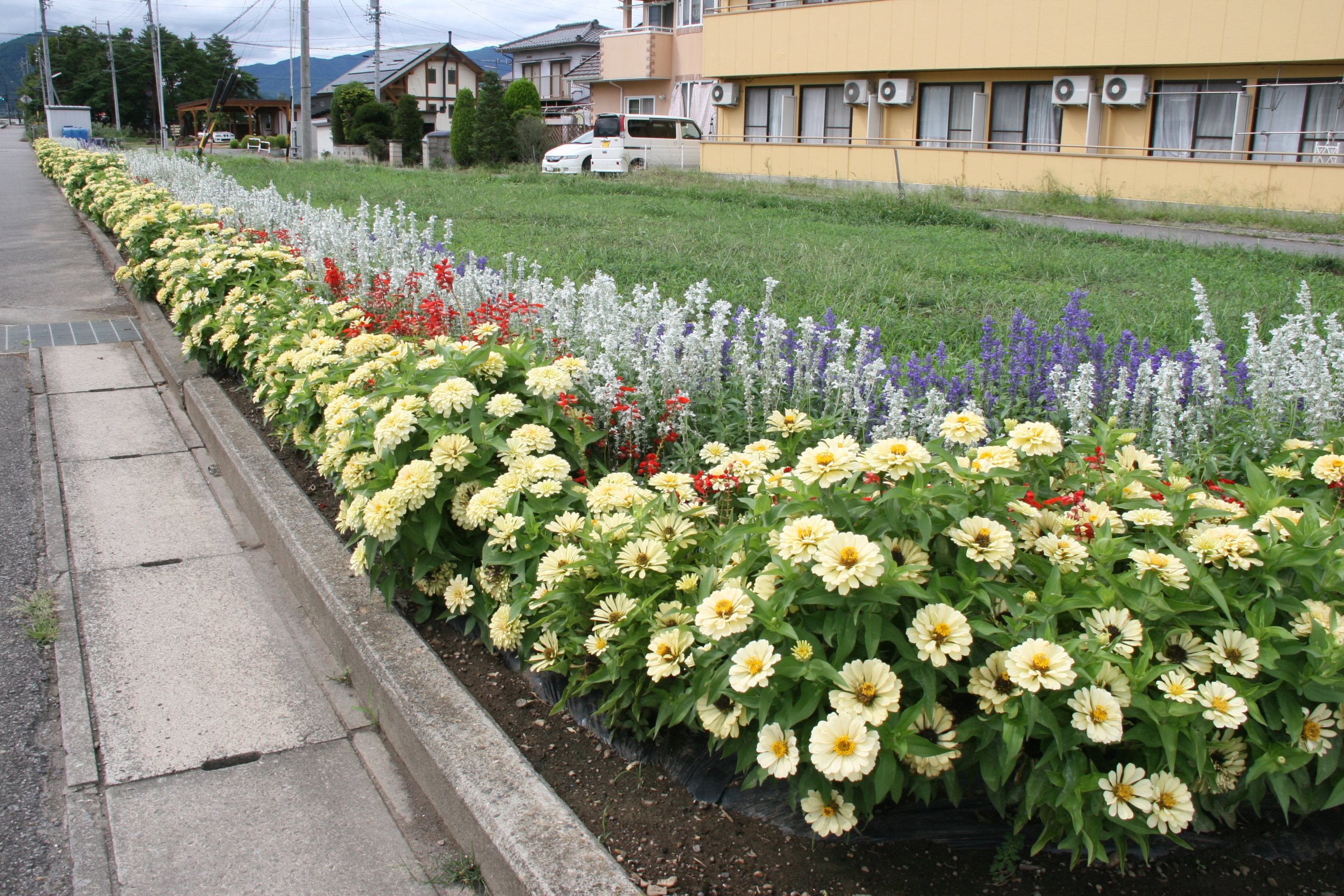 下本郷地区花と緑の街づくり協議会の画像1