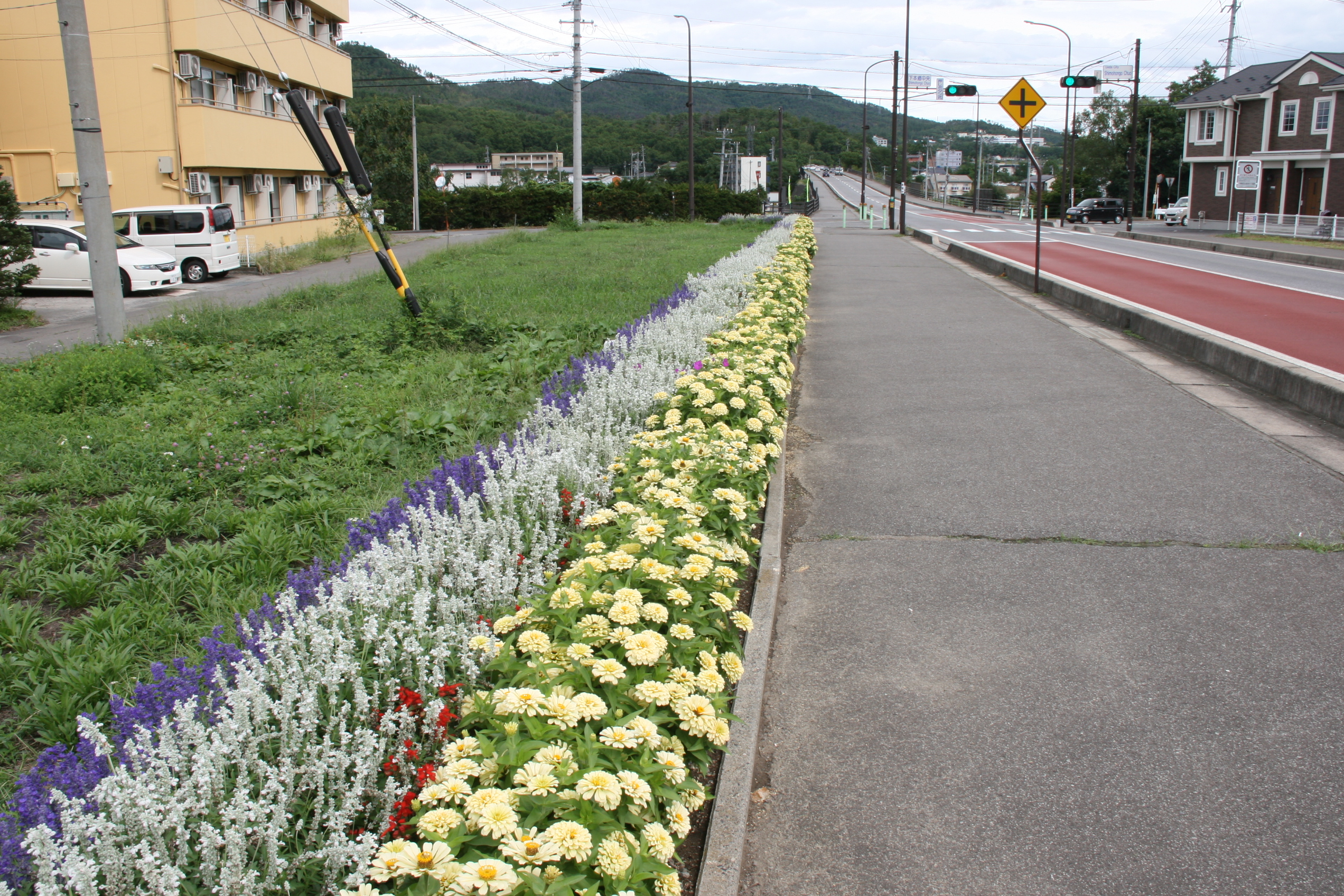 下本郷地区花と緑の街づくり協議会の画像2