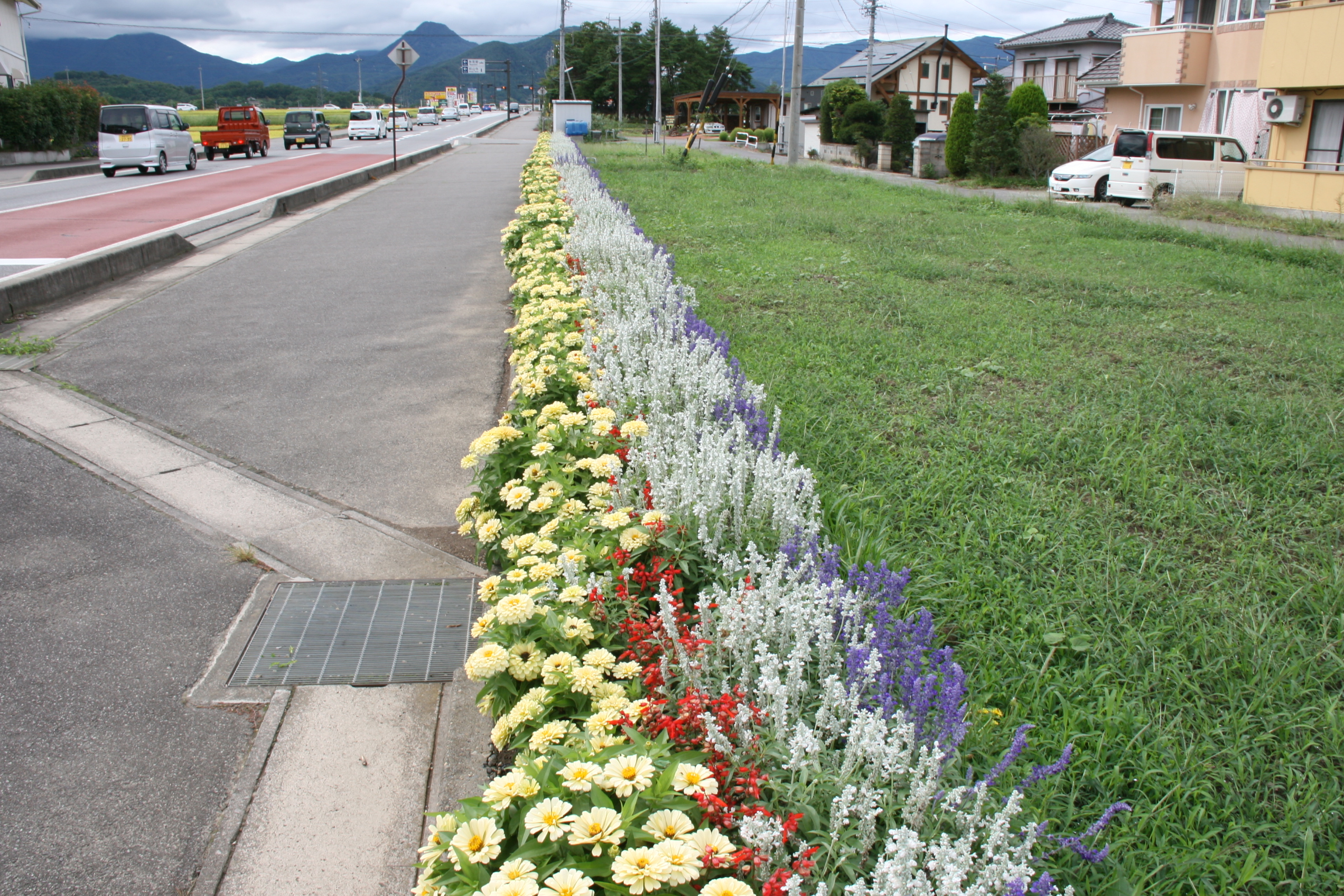下本郷地区花と緑の街づくり協議会の画像3