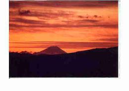 太郎山から眺めた富士山