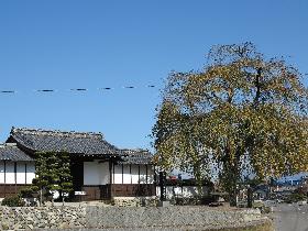 信広寺の画像