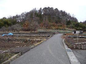 尾引城跡の画像