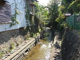 蛭沢川（緑橋）の画像
