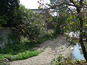 矢出沢川（高橋近く）