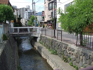 蛭沢川（なつめ河岸付近）