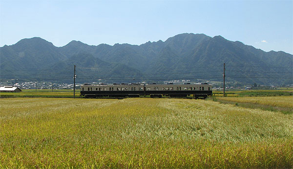 舞田駅付近の画像