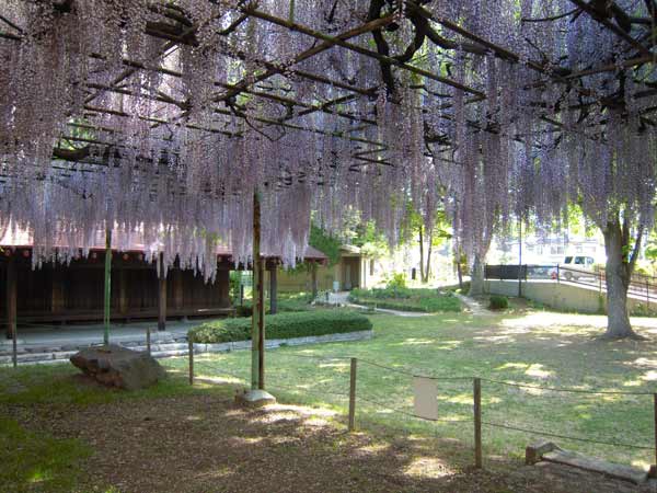 写真：カバンの藤平成26年5月19日