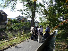 写真：矢出沢川遊歩道