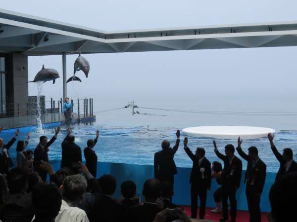 上越水族館うみがたり画像_1