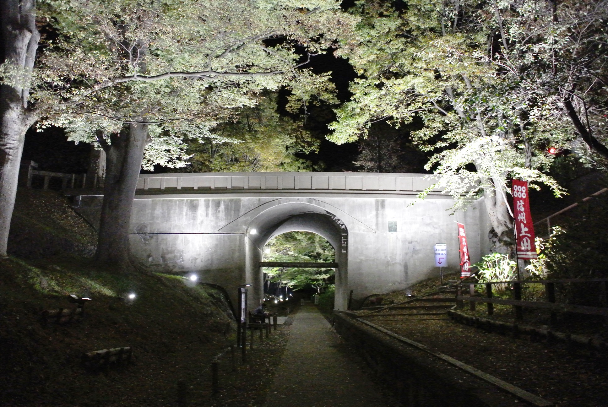 110305.JPG