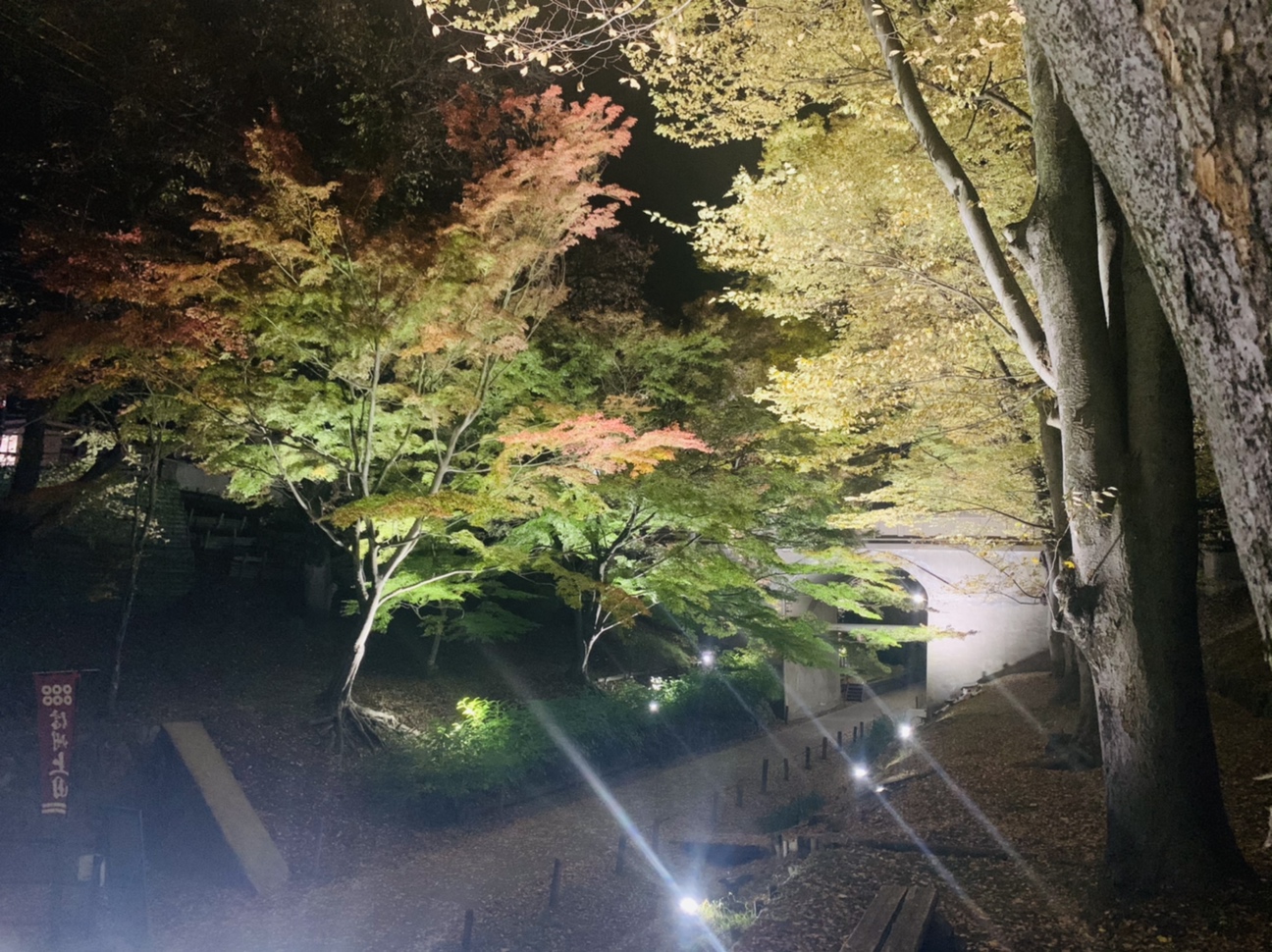 二の丸橋　夜