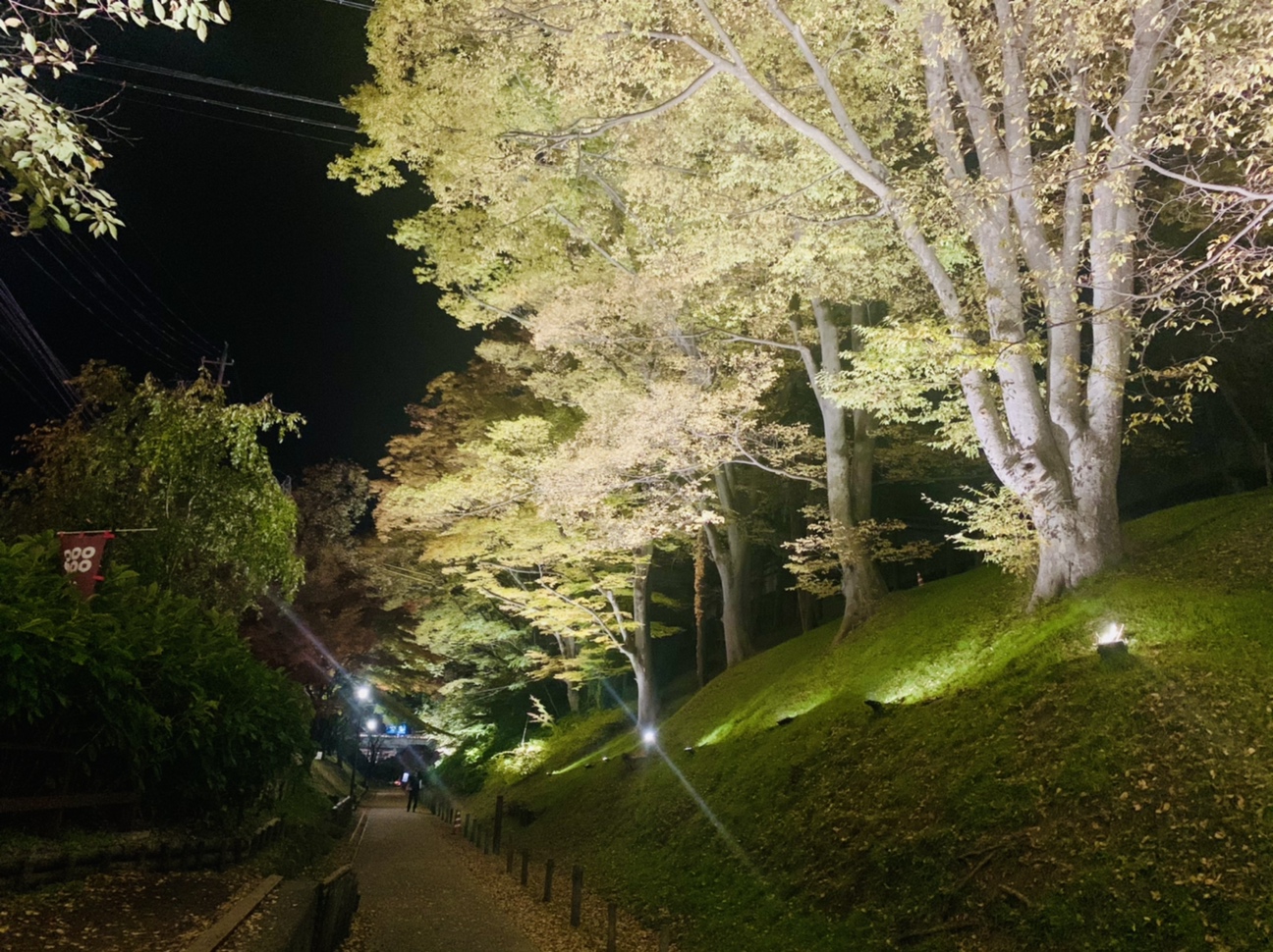 けやき並木３　夜