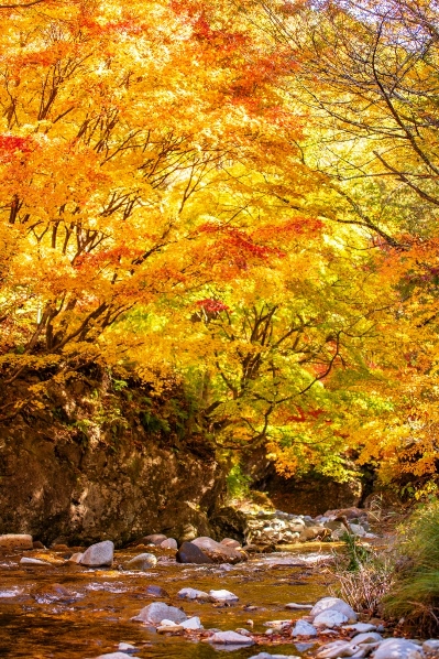 大布施の紅葉橋周辺