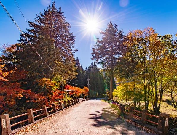 大布施の紅葉橋