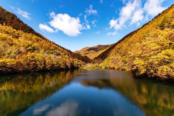 竜ヶ沢ダムの紅葉