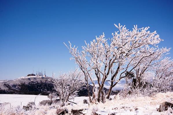 冬の美ヶ原高原（テレビ塔）の画像