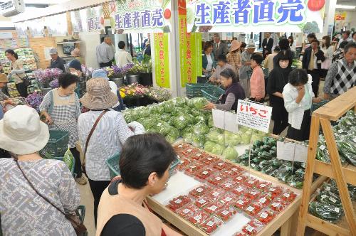 写真：愛彩館　その2