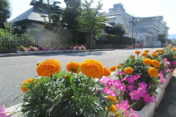 1-2【未満】（優秀賞）木町分館「花育てタイ」