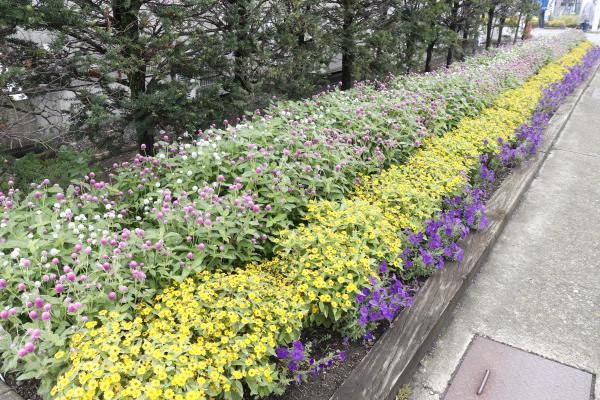 1-4【未満】（優秀賞）ろうきん丸子花の会