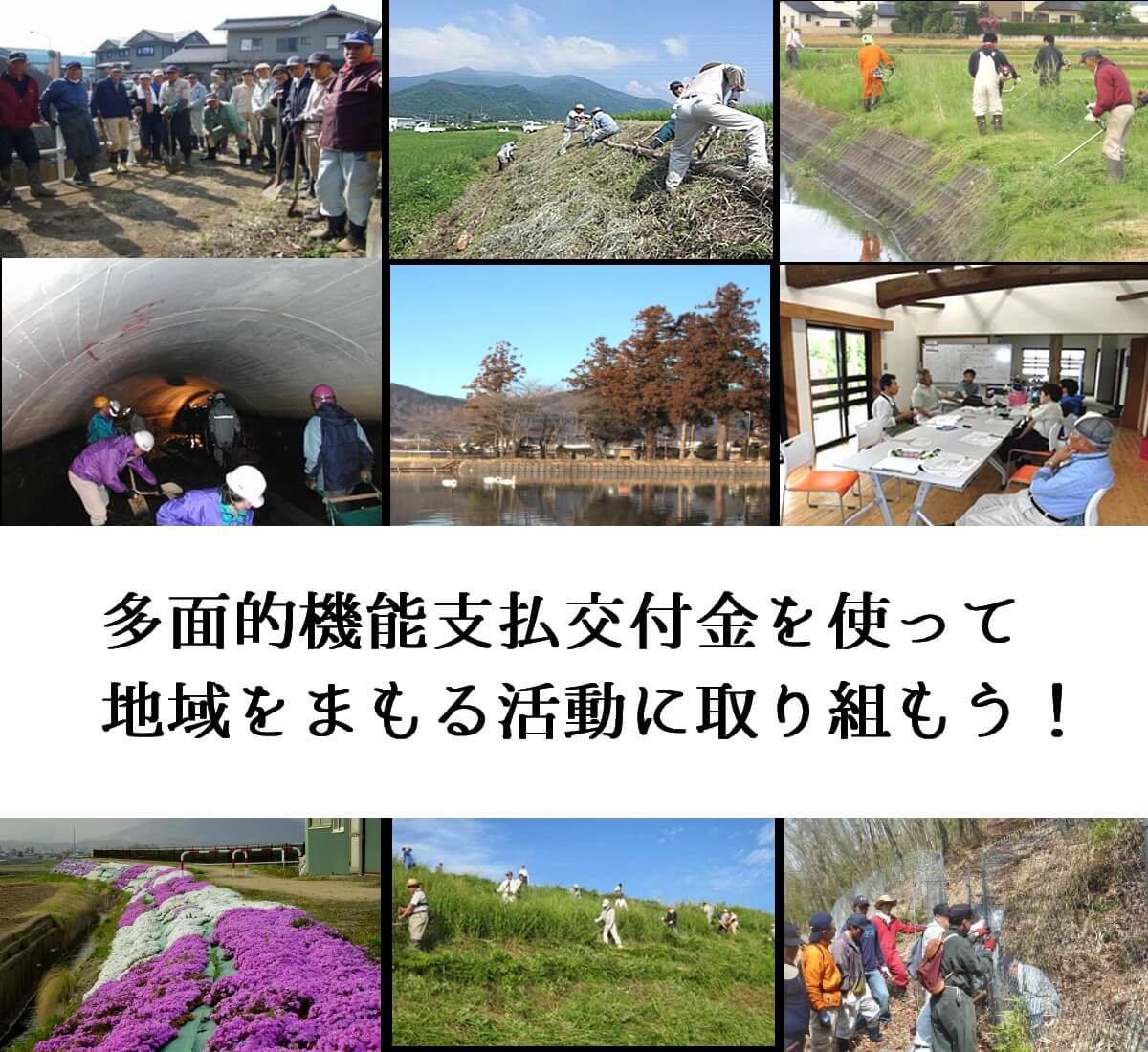 多面的機能支払交付金で共同活動をしよう