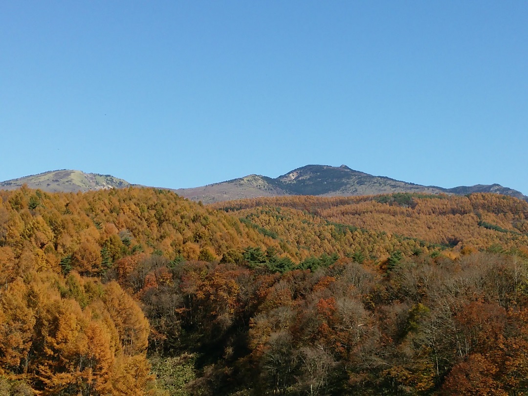 四阿山紅葉