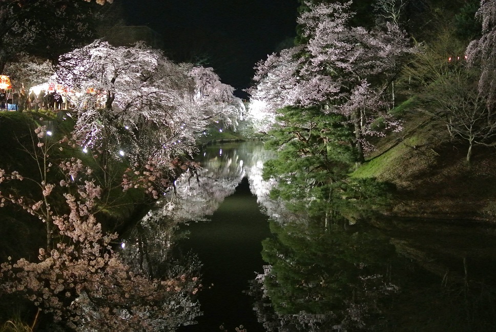 水面に反射するサクラの画像