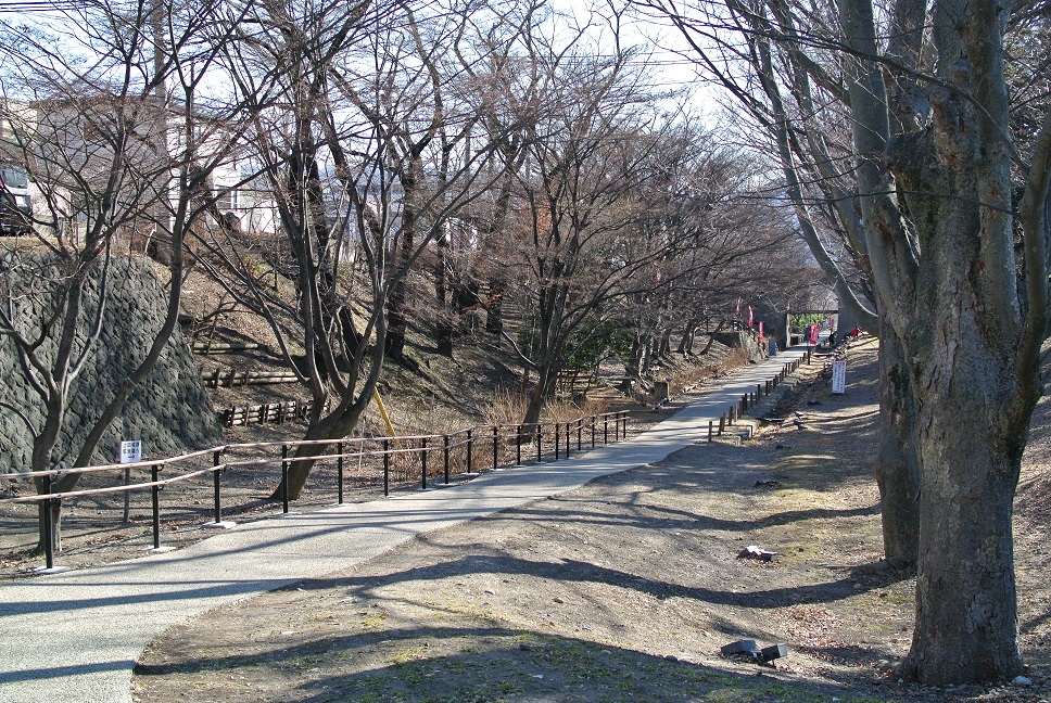 二の丸堀の跡に整備されたけやき並木遊歩道の画像