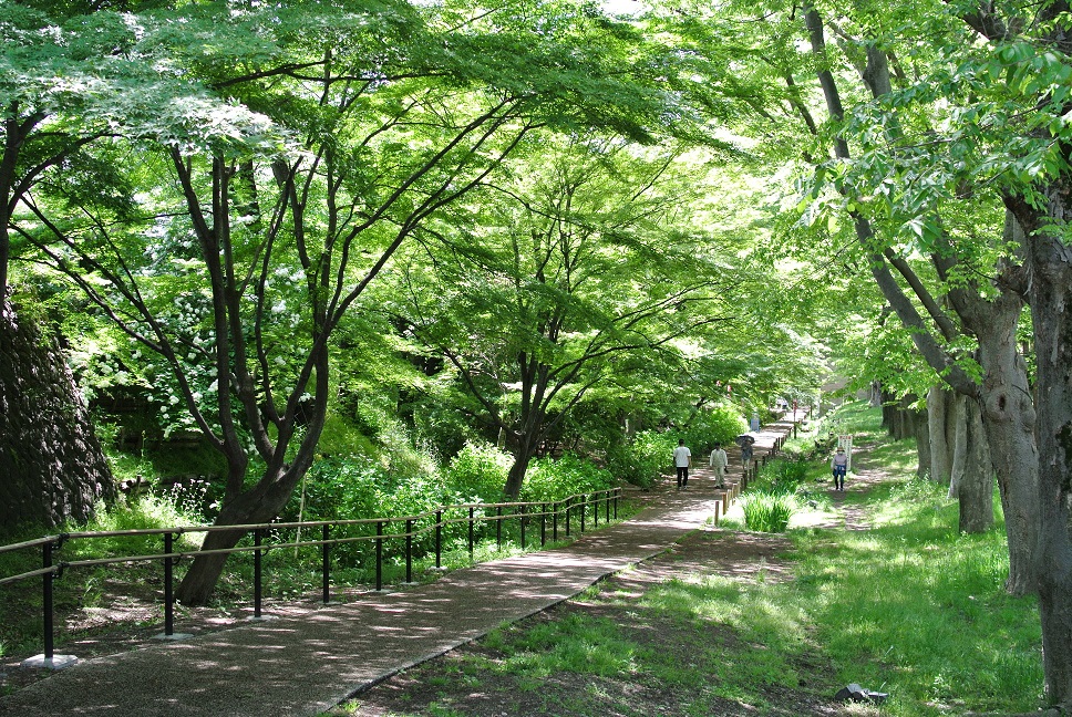 北から、二の丸橋を見て。の画像