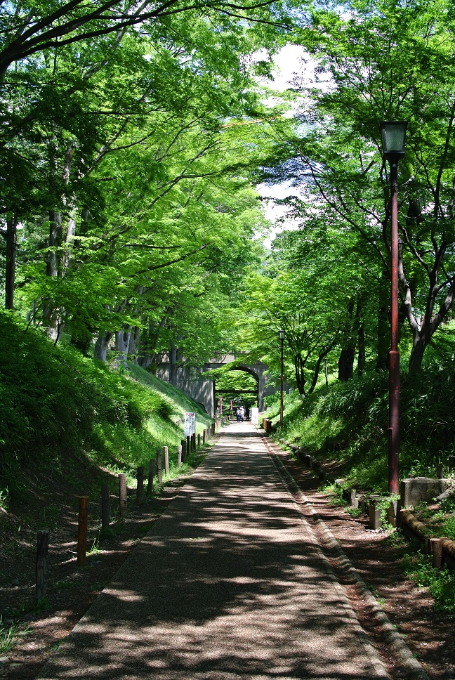 その昔は真田傍陽線として、電車が走っていました。の画像