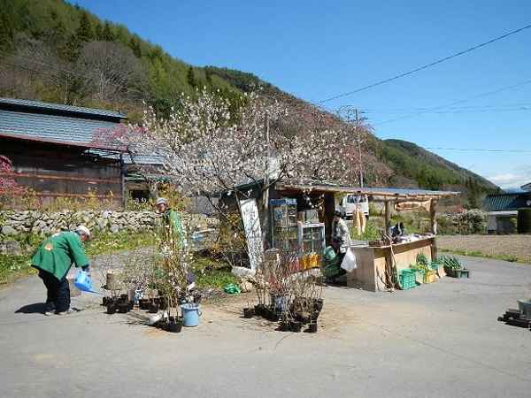 写真：売店