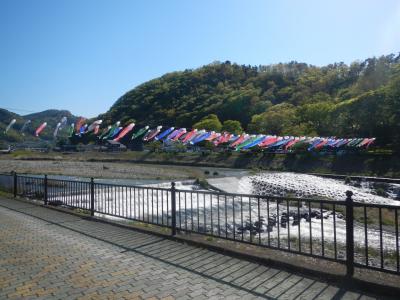依田川の鯉のぼりの画像