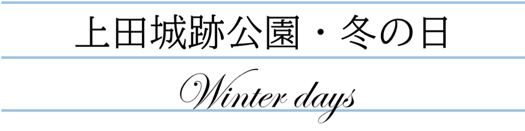 上田城跡公園・冬の日